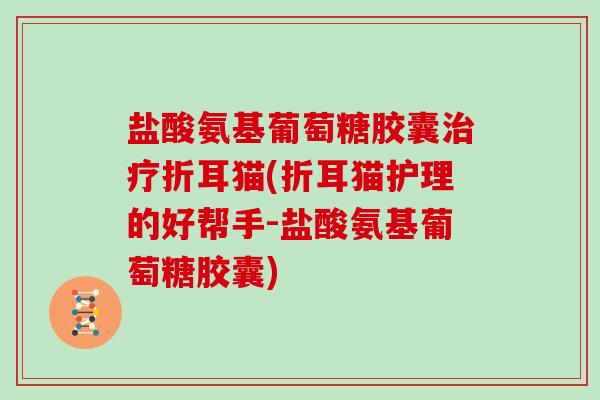 盐酸氨基葡萄糖胶囊折耳猫(折耳猫护理的好帮手-盐酸氨基葡萄糖胶囊) 盐酸氨基葡萄糖胶囊折耳猫(折耳猫护理的好帮手-盐酸氨基葡萄糖胶囊)