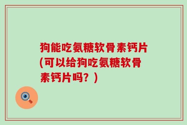 狗能吃氨糖软骨素钙片(可以给狗吃氨糖软骨素钙片吗？)