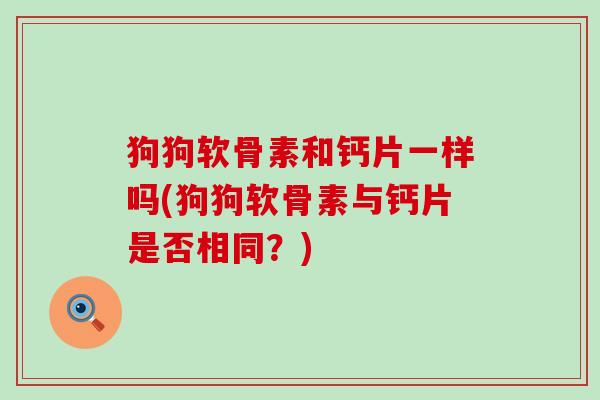 狗狗软骨素和钙片一样吗(狗狗软骨素与钙片是否相同?) 狗狗软骨素和钙片一样吗(狗狗软骨素与钙片是否相同?)