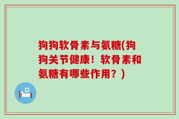 狗狗软骨素与氨糖(狗狗关节健康!软骨素和氨糖有哪些作用?) 狗狗软骨素与氨糖(狗狗关节健康!软骨素和氨糖有哪些作用?)