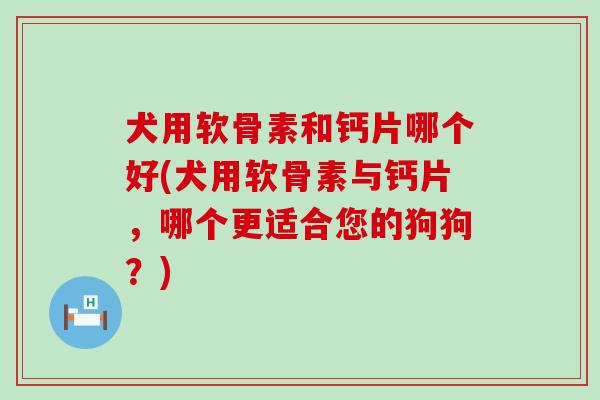 犬用软骨素和钙片哪个好(犬用软骨素与钙片,哪个更适合您的狗狗?) 犬用软骨素和钙片哪个好(犬用软骨素与钙片,哪个更适合您的狗狗?)