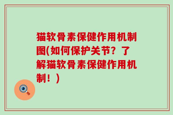 猫软骨素保健作用机制图(如何保护关节？了解猫软骨素保健作用机制！)