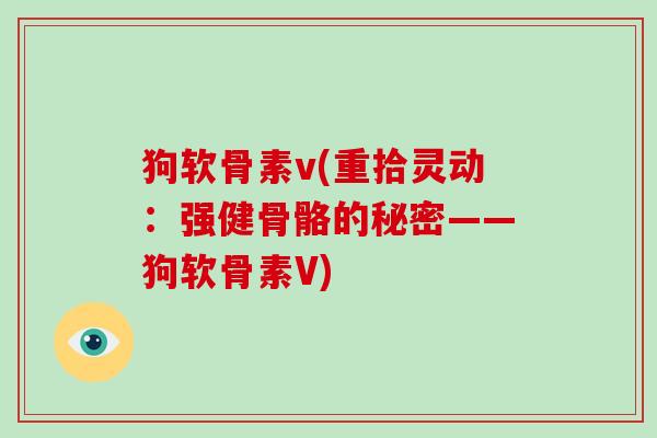 狗软骨素v(重拾灵动:强健骨骼的秘密——狗软骨素V) 狗软骨素v(重拾灵动:强健骨骼的秘密——狗软骨素V)