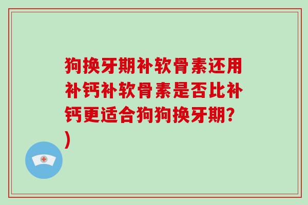 狗换牙期补软骨素还用补钙补软骨素是否比补钙更适合狗狗换牙期？)