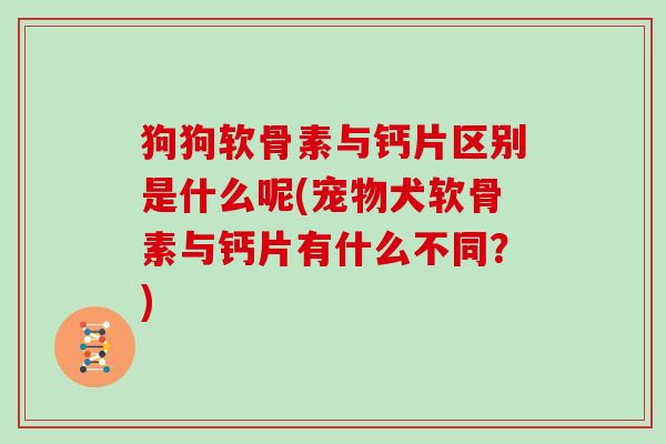 狗狗软骨素与钙片区别是什么呢(宠物犬软骨素与钙片有什么不同?) 狗狗软骨素与钙片区别是什么呢(宠物犬软骨素与钙片有什么不同?)