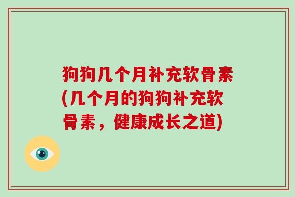 狗狗几个月补充软骨素(几个月的狗狗补充软骨素，健康成长之道)