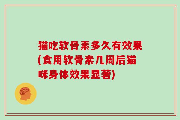 猫吃软骨素多久有效果(食用软骨素几周后猫咪身体效果显著) 猫吃软骨素多久有效果(食用软骨素几周后猫咪身体效果显著)