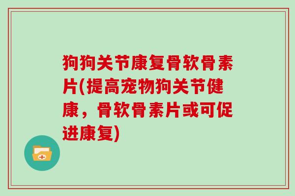 狗狗关节康复骨软骨素片(提高宠物狗关节健康，骨软骨素片或可促进康复)