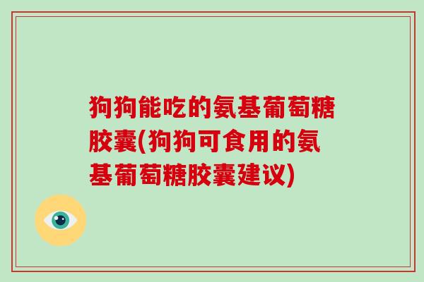 狗狗能吃的氨基葡萄糖胶囊(狗狗可食用的氨基葡萄糖胶囊建议) 狗狗能吃的氨基葡萄糖胶囊(狗狗可食用的氨基葡萄糖胶囊建议)