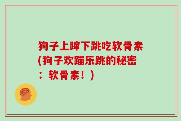 狗子上蹿下跳吃软骨素(狗子欢蹦乐跳的秘密:软骨素!) 狗子上蹿下跳吃软骨素(狗子欢蹦乐跳的秘密:软骨素!)