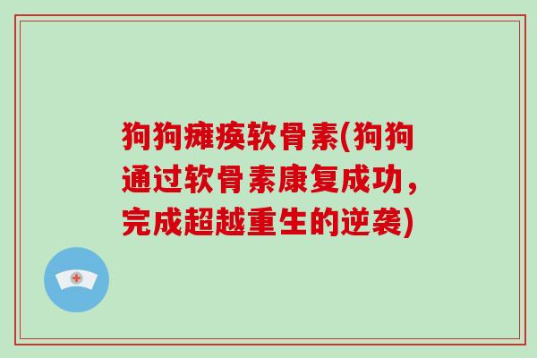 狗狗瘫痪软骨素(狗狗通过软骨素康复成功,完成超越重生的逆袭) 狗狗瘫痪软骨素(狗狗通过软骨素康复成功,完成超越重生的逆袭)