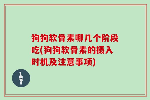 狗狗软骨素哪几个阶段吃(狗狗软骨素的摄入时机及注意事项) 狗狗软骨素哪几个阶段吃(狗狗软骨素的摄入时机及注意事项)