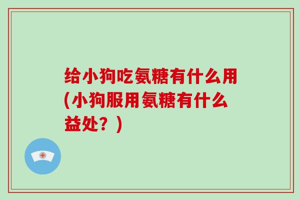 给小狗吃氨糖有什么用(小狗服用氨糖有什么益处？)