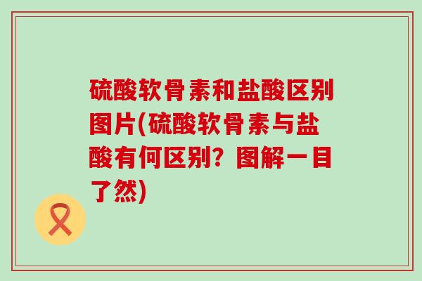 硫酸软骨素和盐酸区别图片(硫酸软骨素与盐酸有何区别?图解一目了然) 硫酸软骨素和盐酸区别图片(硫酸软骨素与盐酸有何区别?图解一目了然)