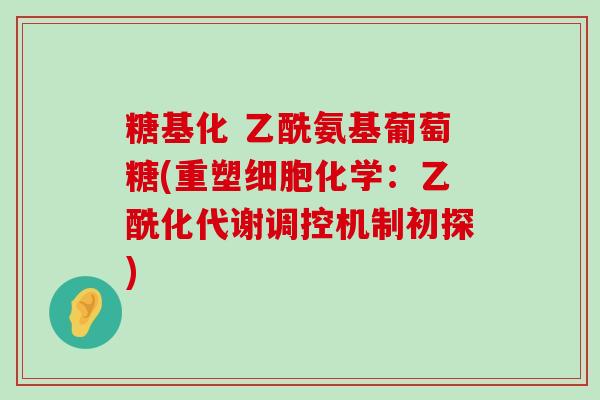 糖基化 乙酰氨基葡萄糖(重塑细胞化学：乙酰化代谢调控机制初探)