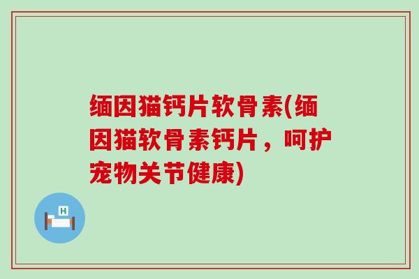 缅因猫钙片软骨素(缅因猫软骨素钙片,呵护宠物关节健康) 缅因猫钙片软骨素(缅因猫软骨素钙片,呵护宠物关节健康)