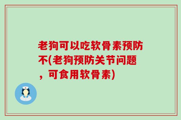 老狗可以吃软骨素不(老狗关节问题，可食用软骨素)