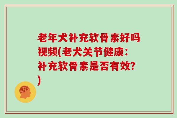 老年犬补充软骨素好吗视频(老犬关节健康:补充软骨素是否有效?) 老年犬补充软骨素好吗视频(老犬关节健康:补充软骨素是否有效?)