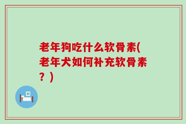 老年狗吃什么软骨素(老年犬如何补充软骨素?) 老年狗吃什么软骨素(老年犬如何补充软骨素?)
