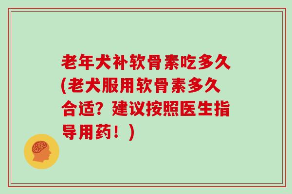 老年犬补软骨素吃多久(老犬服用软骨素多久合适?建议按照医生指导用药!) 老年犬补软骨素吃多久(老犬服用软骨素多久合适?建议按照医生指导用药!)
