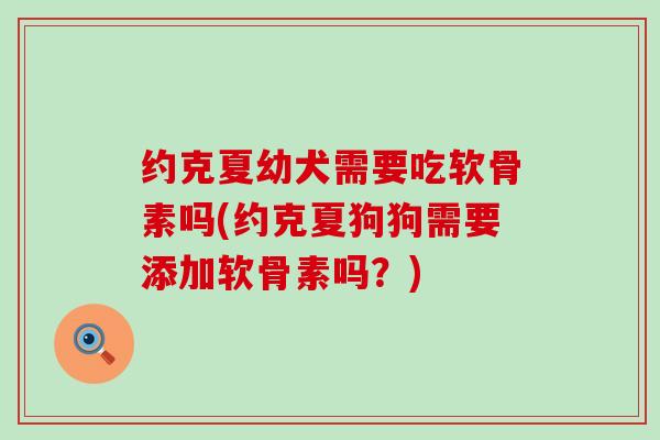 约克夏幼犬需要吃软骨素吗(约克夏狗狗需要添加软骨素吗?) 约克夏幼犬需要吃软骨素吗(约克夏狗狗需要添加软骨素吗?)