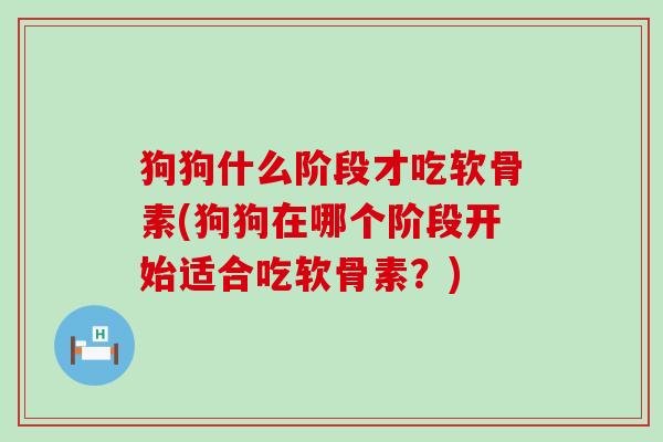 狗狗什么阶段才吃软骨素(狗狗在哪个阶段开始适合吃软骨素?) 狗狗什么阶段才吃软骨素(狗狗在哪个阶段开始适合吃软骨素?)