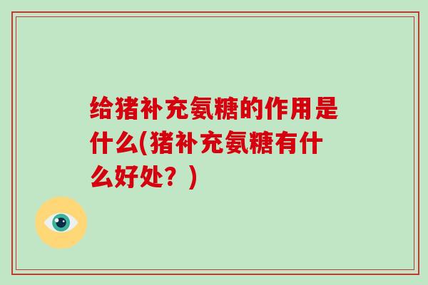 给猪补充氨糖的作用是什么(猪补充氨糖有什么好处?) 给猪补充氨糖的作用是什么(猪补充氨糖有什么好处?)