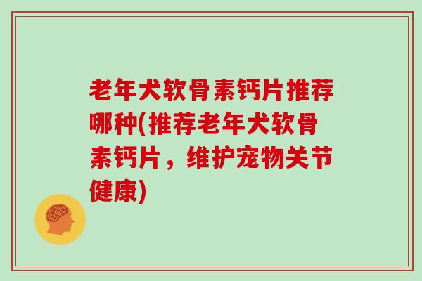 老年犬软骨素钙片推荐哪种(推荐老年犬软骨素钙片，维护宠物关节健康)