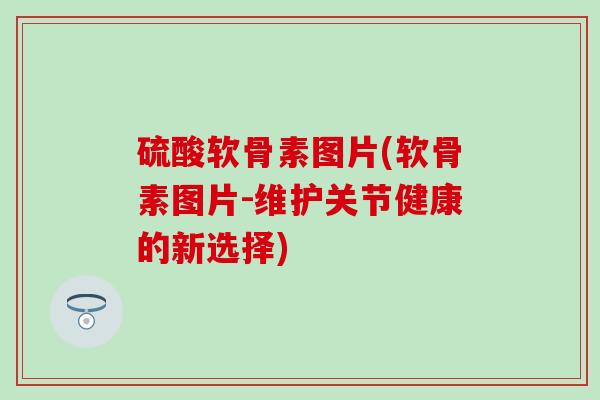 硫酸软骨素图片(软骨素图片-维护关节健康的新选择)