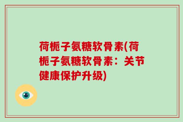 荷栀子氨糖软骨素(荷栀子氨糖软骨素:关节健康保护升级) 荷栀子氨糖软骨素(荷栀子氨糖软骨素:关节健康保护升级)
