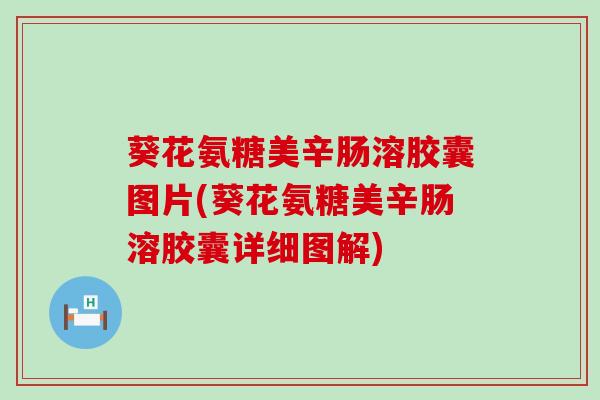 葵花氨糖美辛肠溶胶囊图片(葵花氨糖美辛肠溶胶囊详细图解)