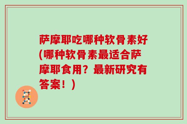 萨摩耶吃哪种软骨素好(哪种软骨素适合萨摩耶食用?新研究有答案!) 萨摩耶吃哪种软骨素好(哪种软骨素适合萨摩耶食用?新研究有答案!)