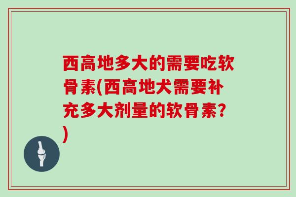 西高地多大的需要吃软骨素(西高地犬需要补充多大剂量的软骨素？)