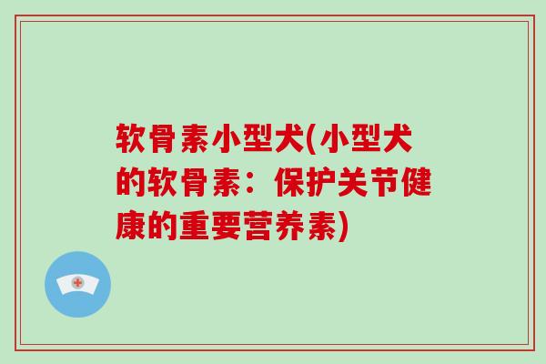 软骨素小型犬(小型犬的软骨素：保护关节健康的重要营养素)