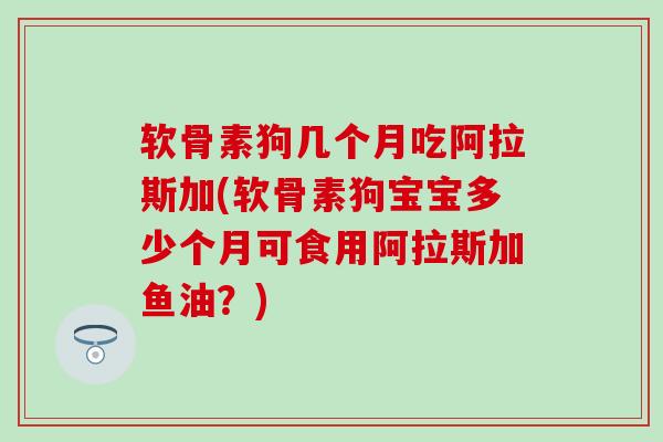 软骨素狗几个月吃阿拉斯加(软骨素狗宝宝多少个月可食用阿拉斯加鱼油?) 软骨素狗几个月吃阿拉斯加(软骨素狗宝宝多少个月可食用阿拉斯加鱼油?)