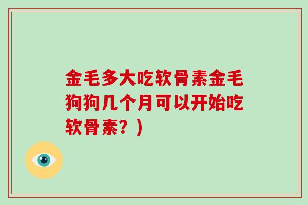 金毛多大吃软骨素金毛狗狗几个月可以开始吃软骨素?) 金毛多大吃软骨素金毛狗狗几个月可以开始吃软骨素?)