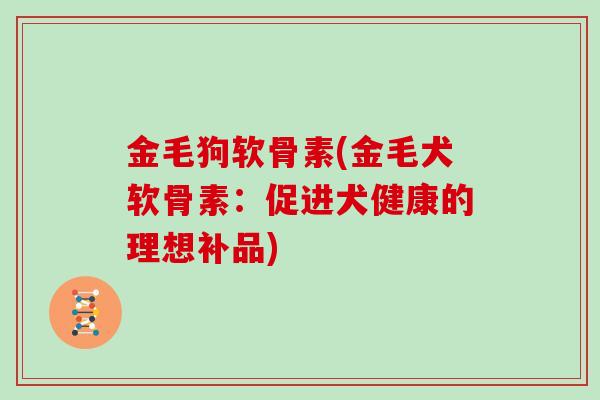 金毛狗软骨素(金毛犬软骨素:促进犬健康的理想补品) 金毛狗软骨素(金毛犬软骨素:促进犬健康的理想补品)