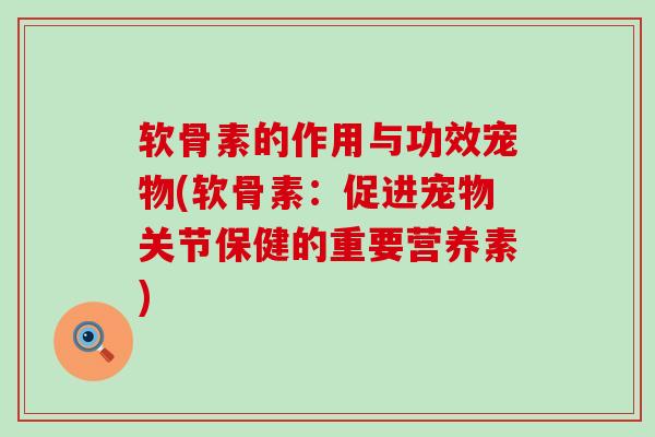 软骨素的作用与功效宠物(软骨素：促进宠物关节保健的重要营养素)