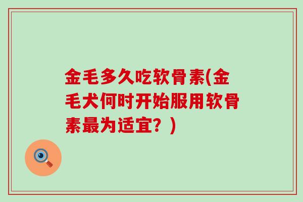 金毛多久吃软骨素(金毛犬何时开始服用软骨素为适宜?) 金毛多久吃软骨素(金毛犬何时开始服用软骨素为适宜?)