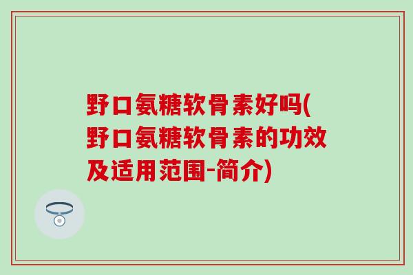 野口氨糖软骨素好吗(野口氨糖软骨素的功效及适用范围-简介) 野口氨糖软骨素好吗(野口氨糖软骨素的功效及适用范围-简介)