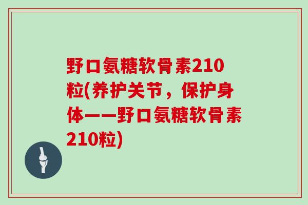 野口氨糖软骨素210粒(养护关节,保护身体——野口氨糖软骨素210粒) 野口氨糖软骨素210粒(养护关节,保护身体——野口氨糖软骨素210粒)