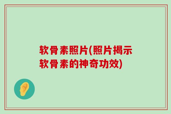 软骨素照片(照片揭示软骨素的神奇功效)