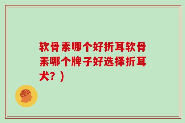软骨素哪个好折耳软骨素哪个牌子好选择折耳犬？)