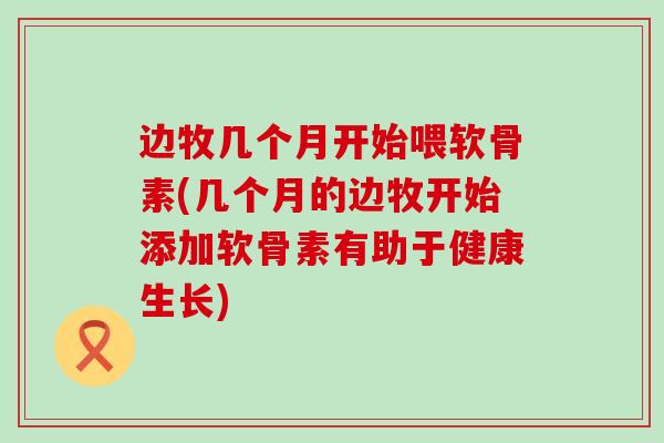 边牧几个月开始喂软骨素(几个月的边牧开始添加软骨素有助于健康生长)