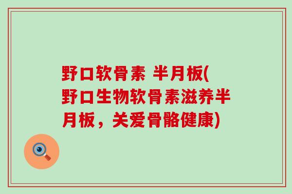 野口软骨素 (野口生物软骨素滋养,关爱骨骼健康) 野口软骨素 (野口生物软骨素滋养,关爱骨骼健康)