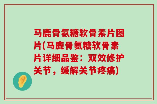 马鹿骨氨糖软骨素片图片(马鹿骨氨糖软骨素片详细品鉴:双效修护关节,缓解关节) 马鹿骨氨糖软骨素片图片(马鹿骨氨糖软骨素片详细品鉴:双效修护关节,缓解关节)