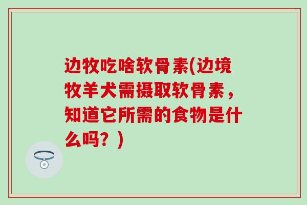 边牧吃啥软骨素(边境牧羊犬需摄取软骨素,知道它所需的食物是什么吗?) 边牧吃啥软骨素(边境牧羊犬需摄取软骨素,知道它所需的食物是什么吗?)