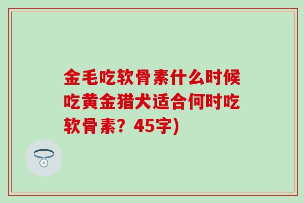 金毛吃软骨素什么时候吃黄金猎犬适合何时吃软骨素？45字)
