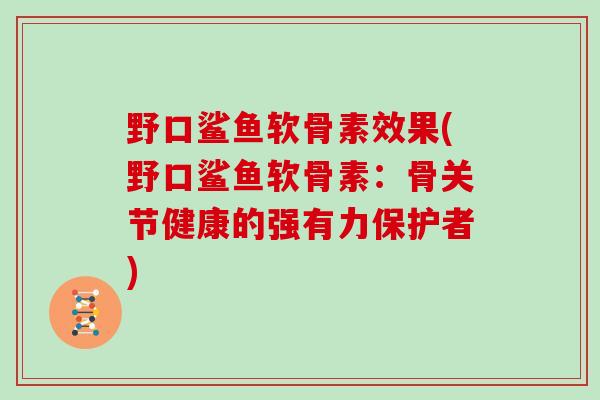 野口鲨鱼软骨素效果(野口鲨鱼软骨素:骨关节健康的强有力保护者) 野口鲨鱼软骨素效果(野口鲨鱼软骨素:骨关节健康的强有力保护者)