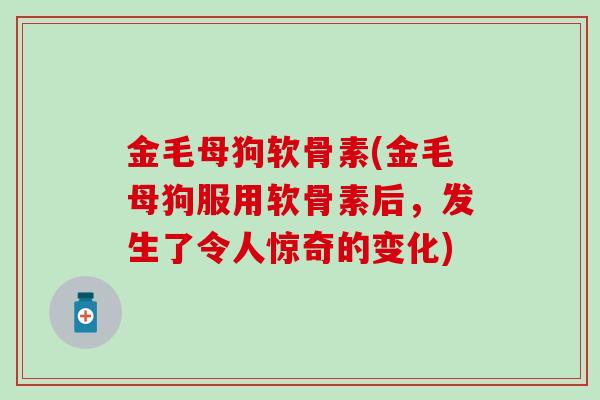 金毛母狗软骨素(金毛母狗服用软骨素后，发生了令人惊奇的变化)